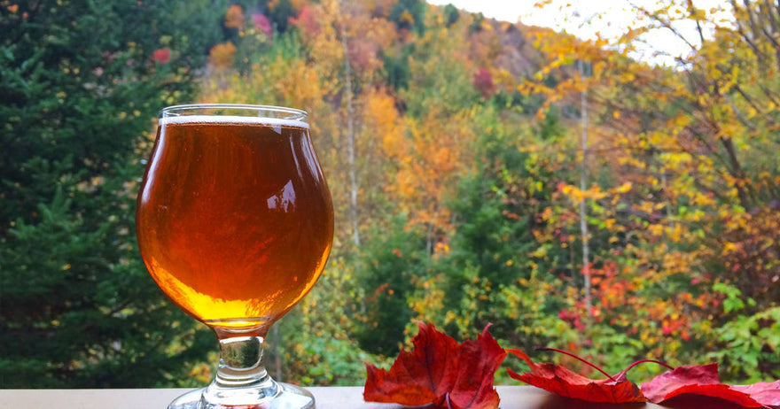 March On | BeerCo Brewing and Distilling News | March 2022