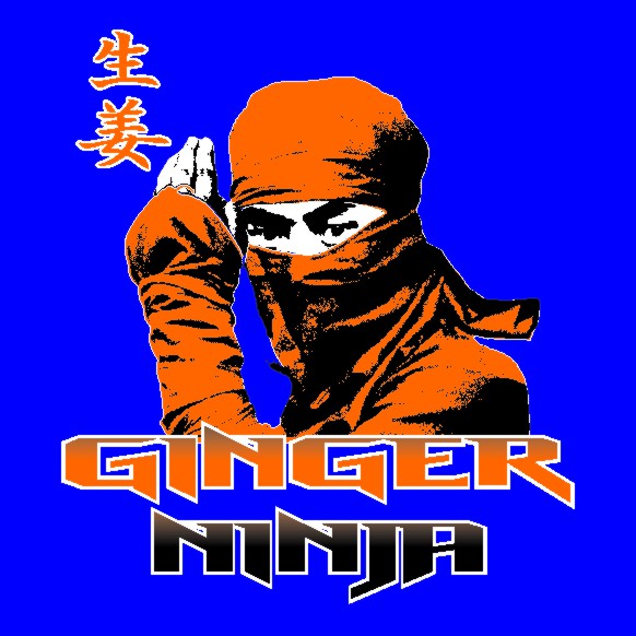 Xtreme Jinja Ninja
