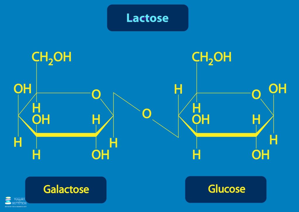 Lactose
