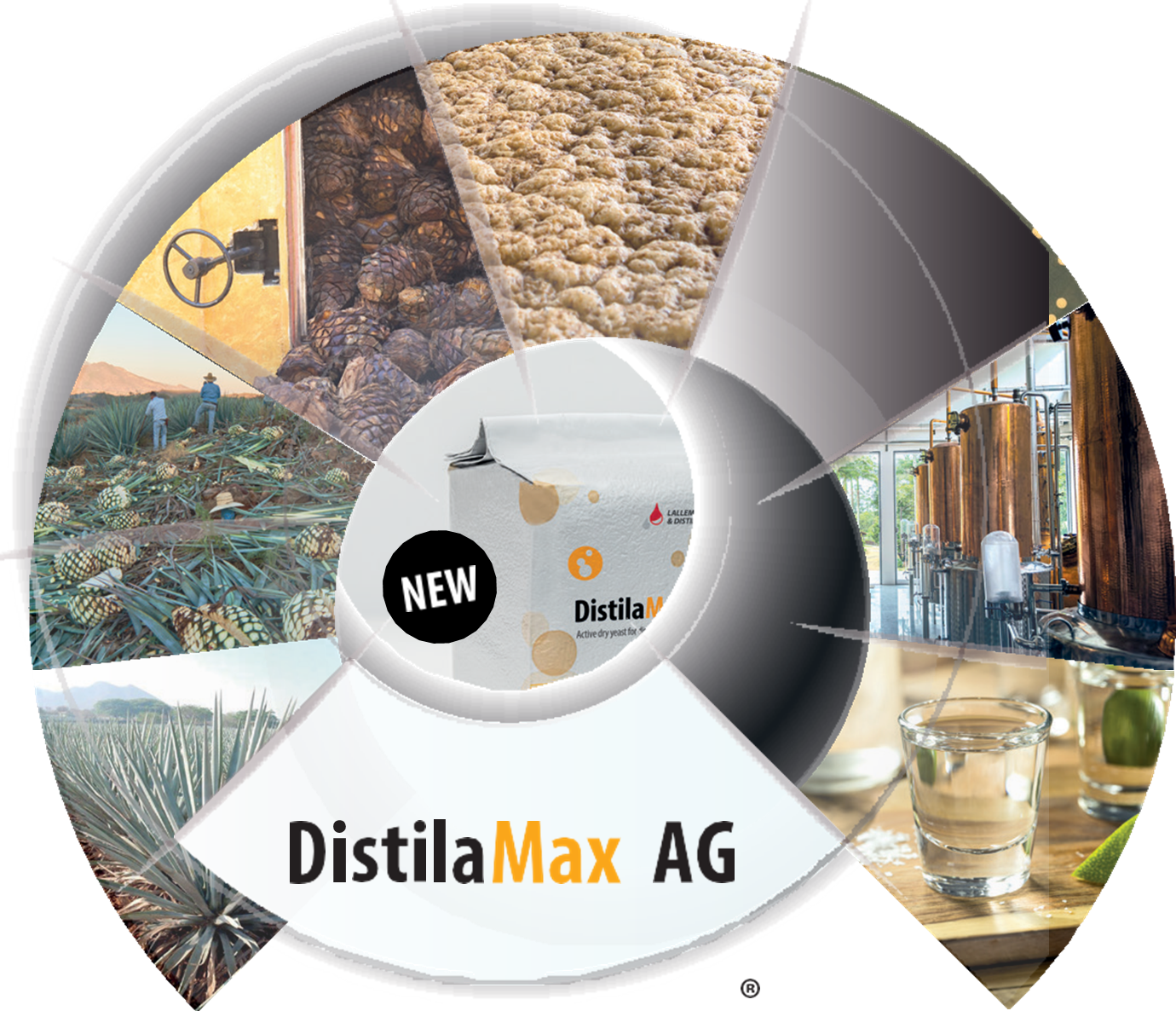 DistilaMax® AG | Lallemand Craft Distilling Yeast