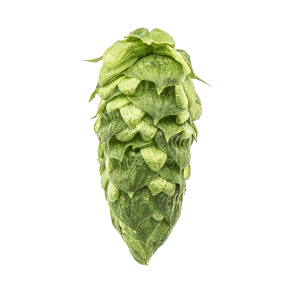 Simcoe® Brand YCR 14 US Hops
