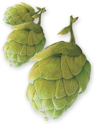 hop-east-kent-CONE