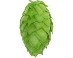 mosaic cone