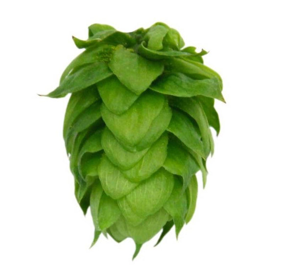 Cashmere US Hops