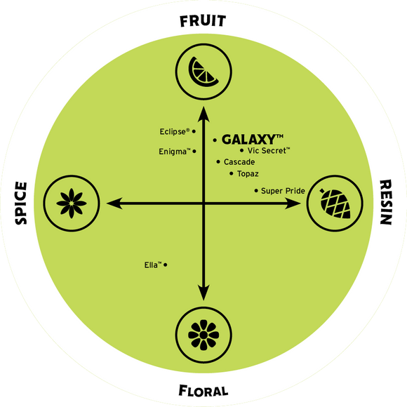 Galaxy® AU Hops