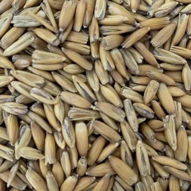 Gladfield Golden Oat Malt