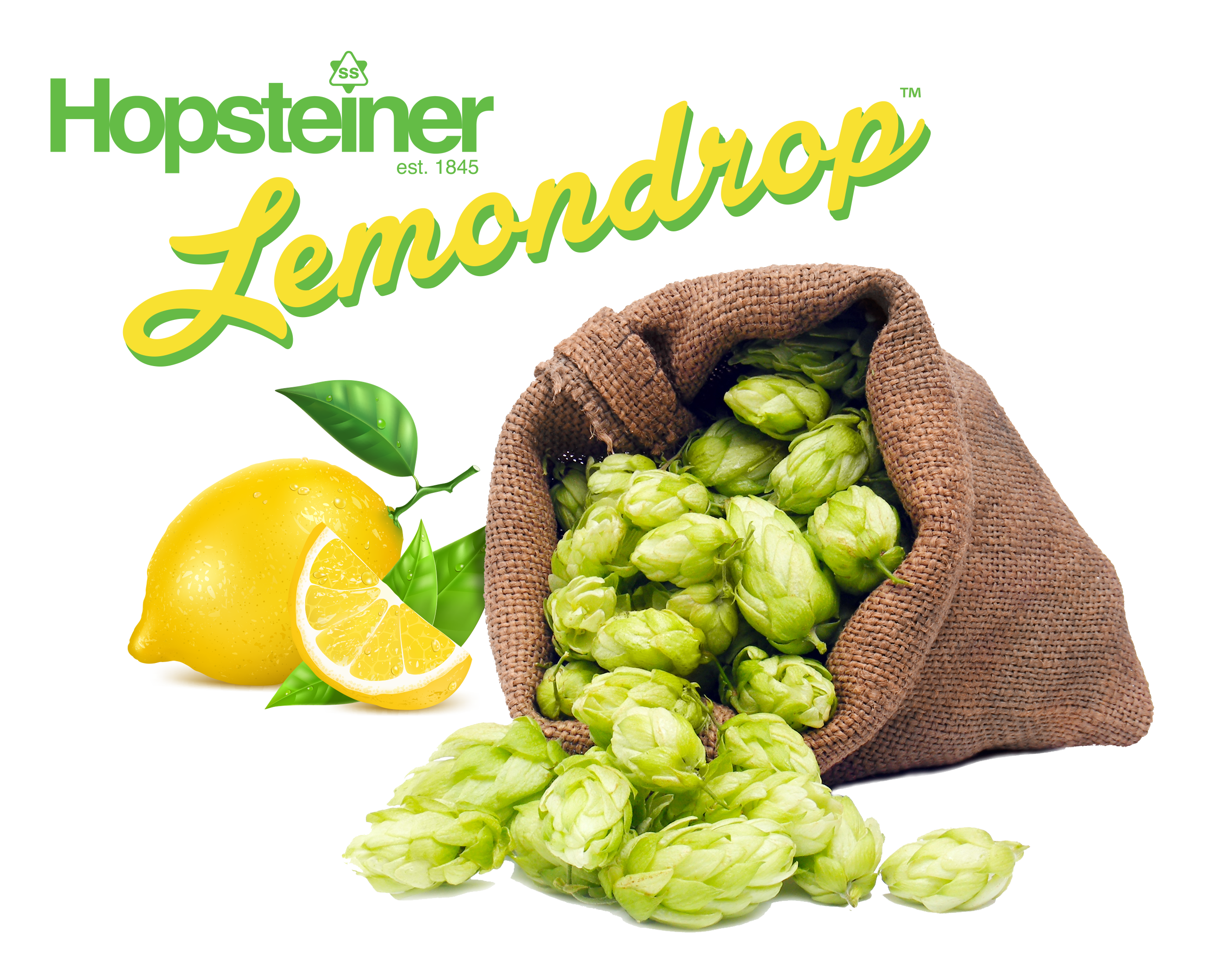 Lemondrop™ Hopsteiner #01210 US Hops