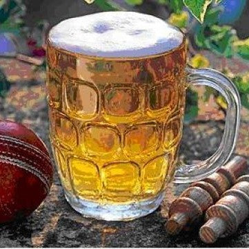 Howzat | Gose | BeerCo All Grain Brewers Recipe Kit