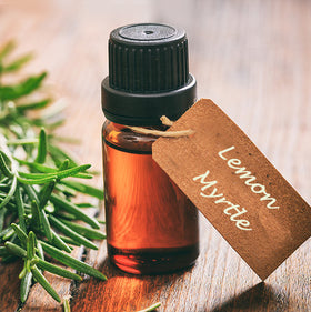 Lemon Myrtle | Bextract™ | Backhousia citriodora