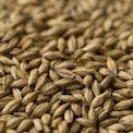 Gladfield Heavy Peat Smoke Malt