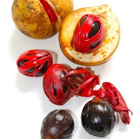 Nutmeg Whole | Myristica Fragrans - 0
