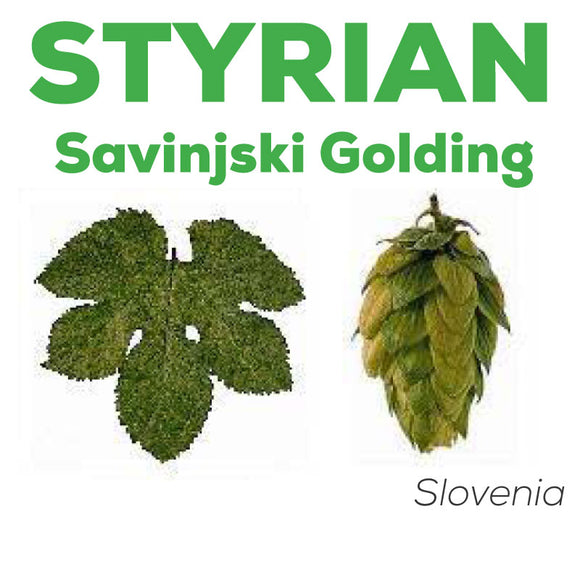 Styrian Golding  Celeia SV Hops