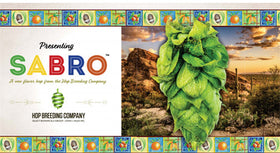 Sabro™ HBC 438 US Hops - 0