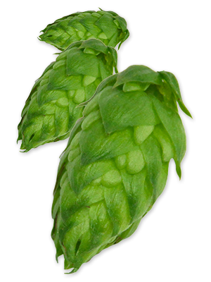 hop-magnum