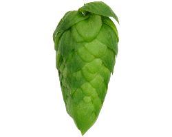 Cascade