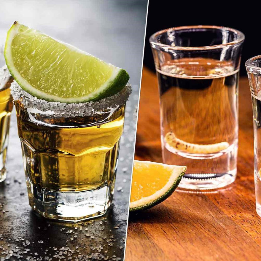 How to Ferment Agave Syrup and Distil Agave Spirit