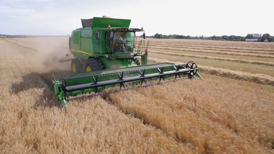 Feb 2019 - Brew Time - BeerCo Brewing News...🍻 📡📻 📺