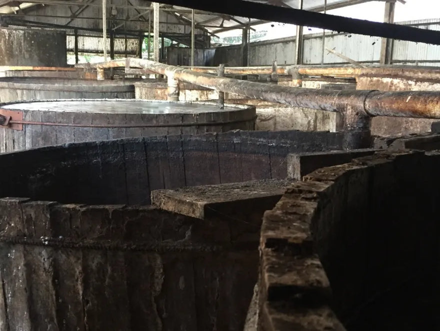 Days of Dunder and What the Muck?