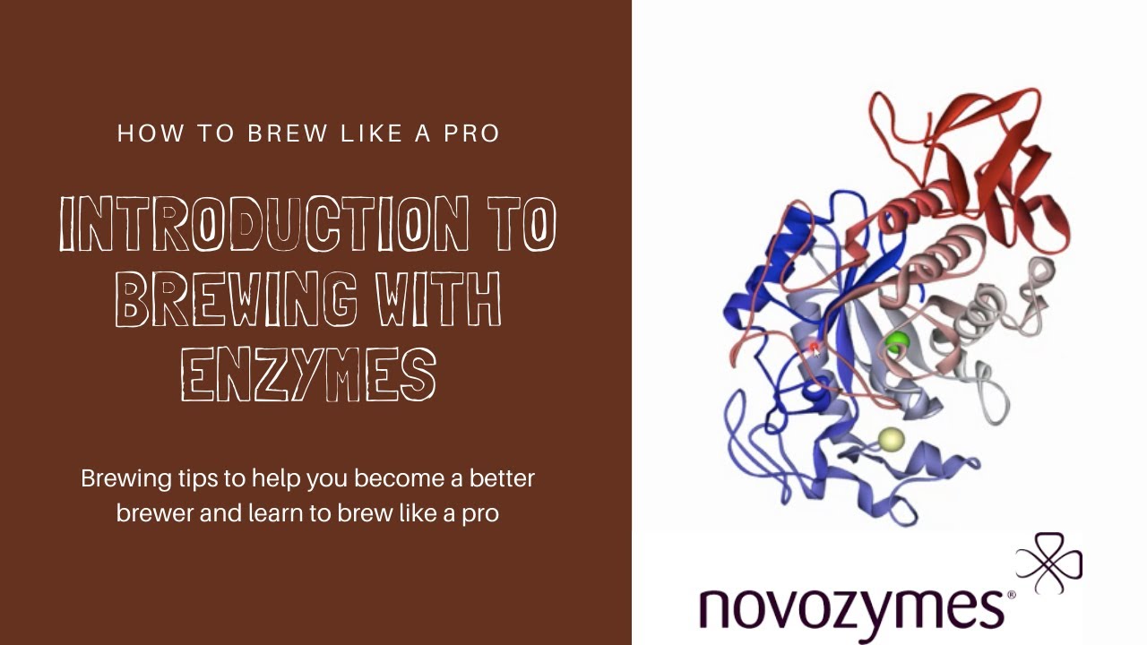 Enzymes in Brewing Basic Introduction: novozymes and BeerCo.com.au