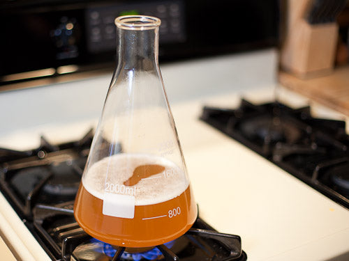 How to make a Yeast Starter - BeerCo - Learn to Brew