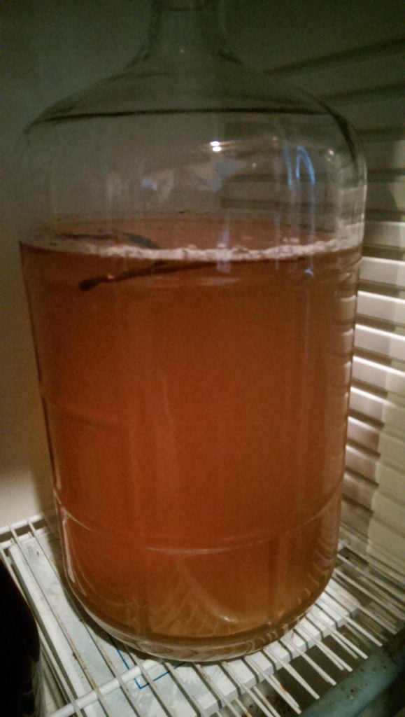 Katie Pie - Metheglin - Vanilla Cinnamon Spiced Apple Honey Mead - How to Make Mead - Apple Pie