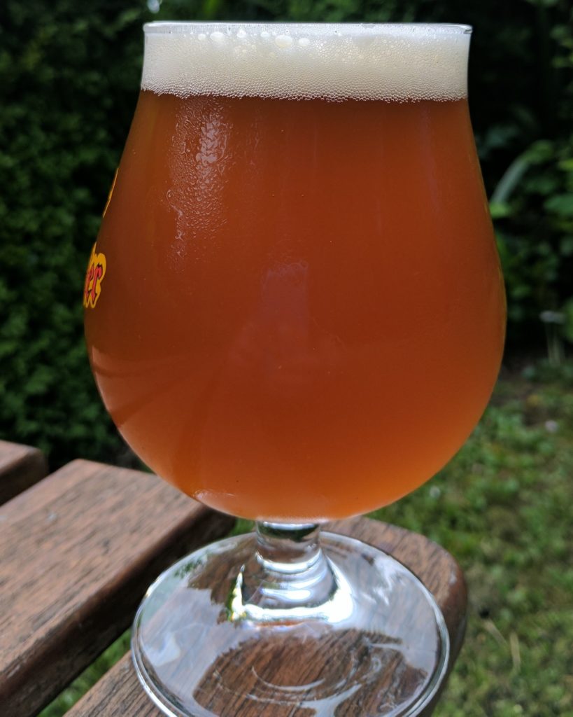 Staub IPA - How to Brew - Beer Recipe