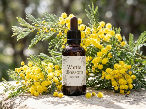 Wattle Blossom | Bextract™ | Acacia dealbata