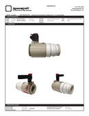 42-4022 Butterfly Valve Assembly SK Buttress X 2" F NPS BUNA-1