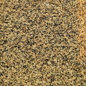 Elder Flower | Sambucus Nigra