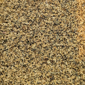 Elder Flower | Sambucus Nigra