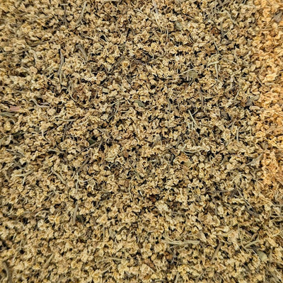 Elder Flower | Sambucus Nigra