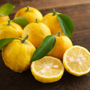 Screenshot 2025-05-16 104250