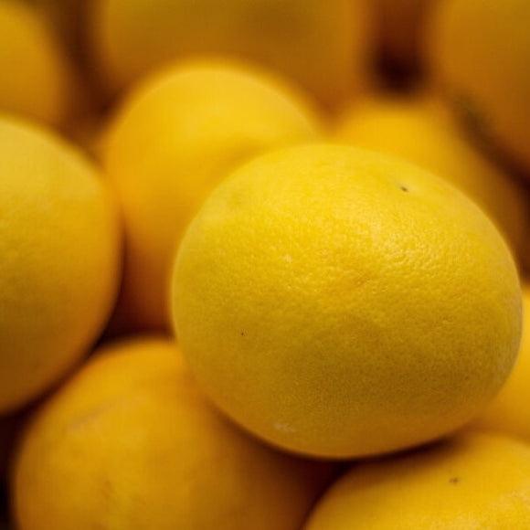 Grapefruit | Vlavour™ | Citrus x paradisi