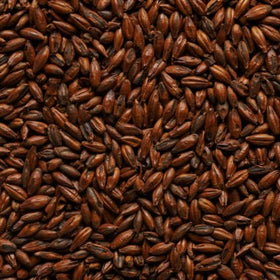 Joe White Dark Roasted Malt