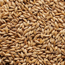 Joe White Dark Munich Malt-1