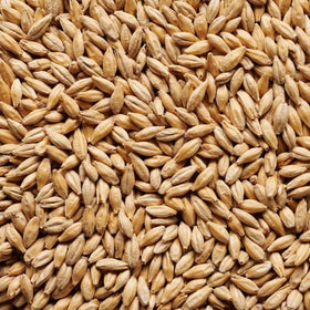 Joe White Dextrin Malt