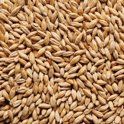 Joe White Dextrin Malt
