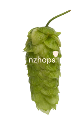 Superdelic™ NZ Hops