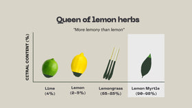 Lemon Myrtle Dried Leaf - 0