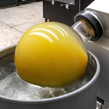 Lemon Vlavour™ | Citrus limon - 0