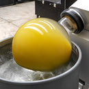 Grapefruit | Vlavour™ | Citrus x paradisi-2