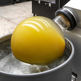 Grapefruit | Vlavour™ | Citrus x paradisi - 0