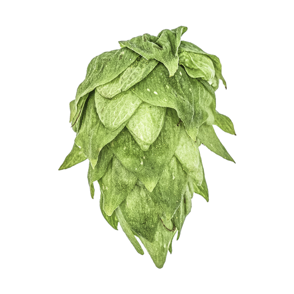Cluster US Hops