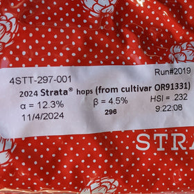 Strata® OR91331 US Hops