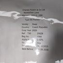Saaz CZ Hops-7