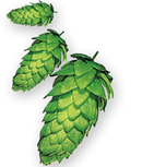 hop-hersbrucker-CONES