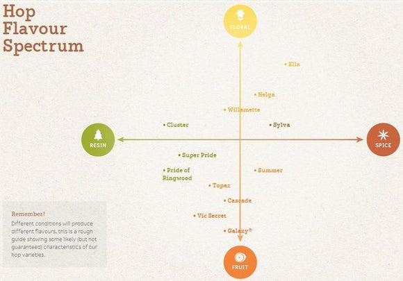 Hop Flavour Spectrum