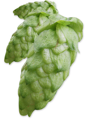 hop-huellmelon-feature