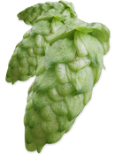 hop-huellmelon-feature