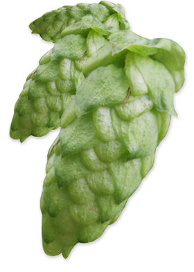 hop-huellmelon-feature